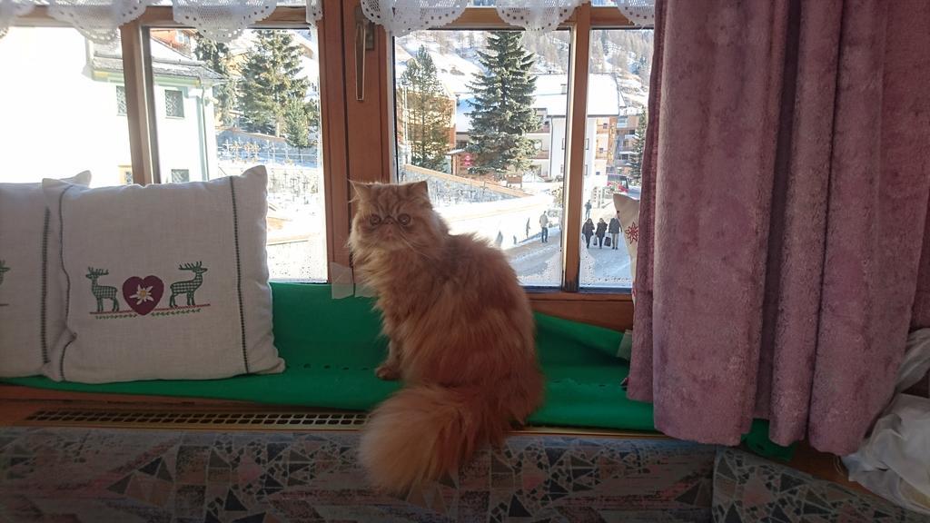 Residence Ploner サン・カッシアーノ エクステリア 写真